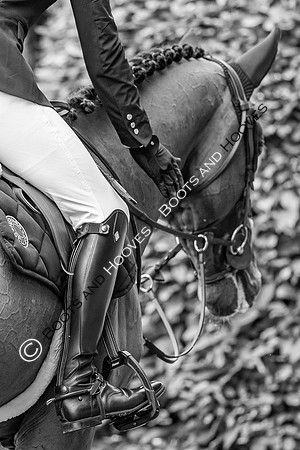 CHIO Aachen World Equestrian Festival