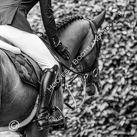 CHIO Aachen World Equestrian Festival