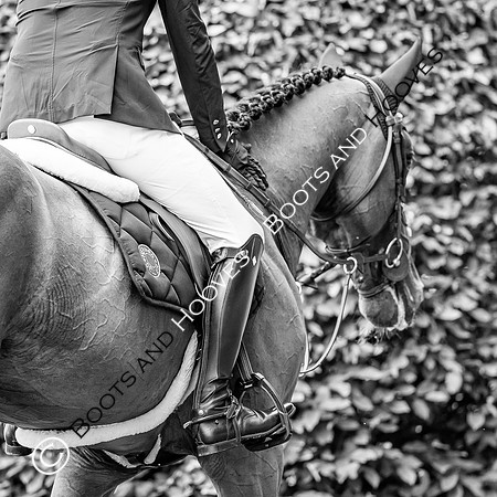 CHIO Aachen World Equestrian Festival