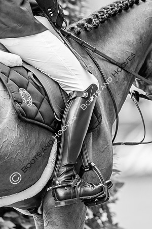 CHIO Aachen World Equestrian Festival