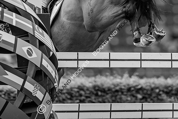CHIO Aachen World Equestrian Festival