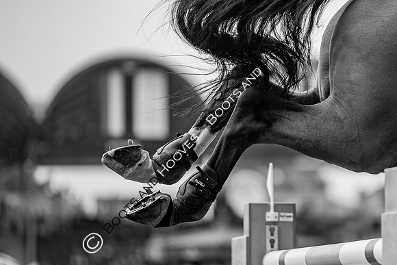 CHIO Aachen World Equestrian Festival