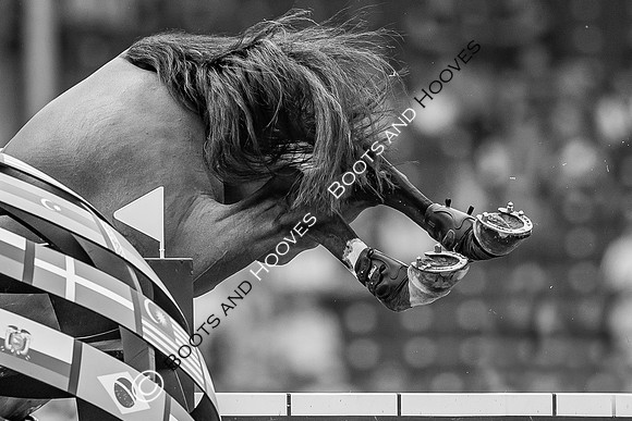 CHIO Aachen World Equestrian Festival