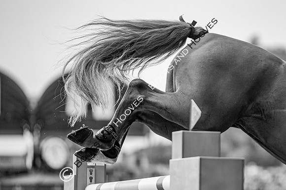 CHIO Aachen World Equestrian Festival