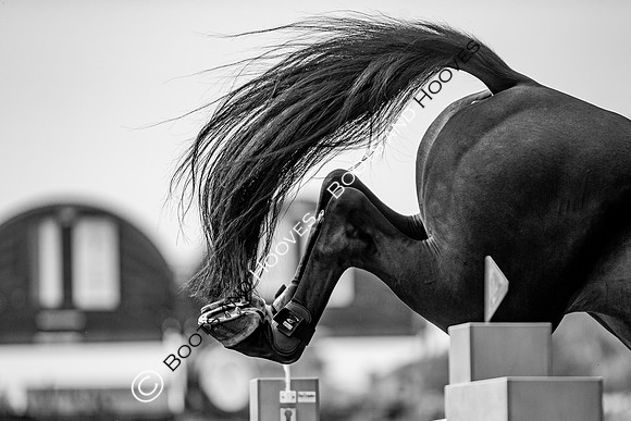 CHIO Aachen World Equestrian Festival
