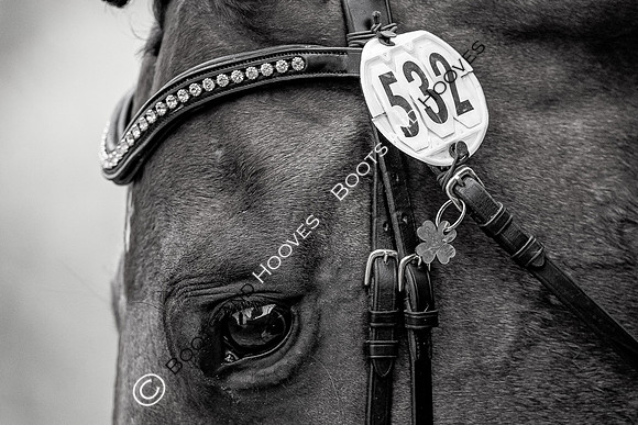 CHIO Aachen World Equestrian Festival