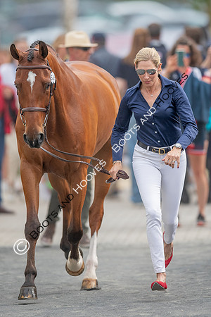 CHIO Aachen World Equestrian Festival