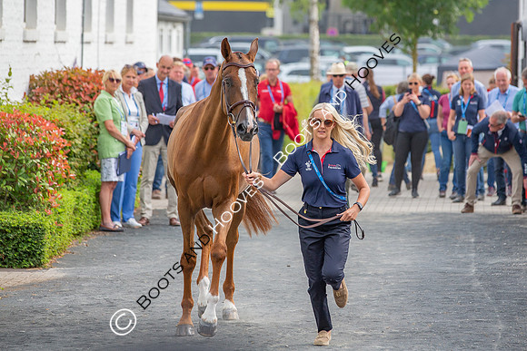 CHIO Aachen World Equestrian Festival
