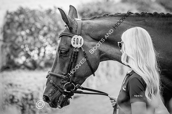 CHIO Aachen World Equestrian Festival