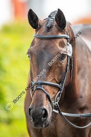CHIO Aachen World Equestrian Festival