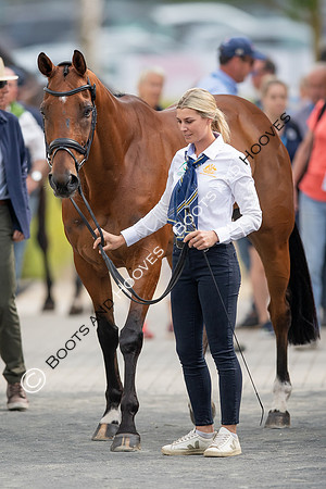 CHIO Aachen World Equestrian Festival