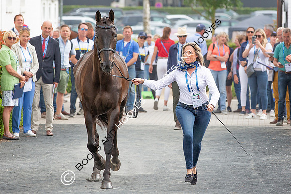CHIO Aachen World Equestrian Festival