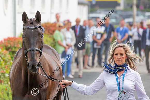 CHIO Aachen World Equestrian Festival