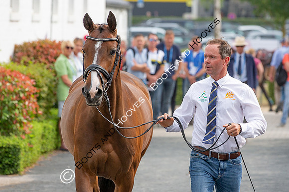 CHIO Aachen World Equestrian Festival