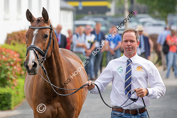 CHIO Aachen World Equestrian Festival