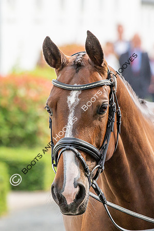 CHIO Aachen World Equestrian Festival