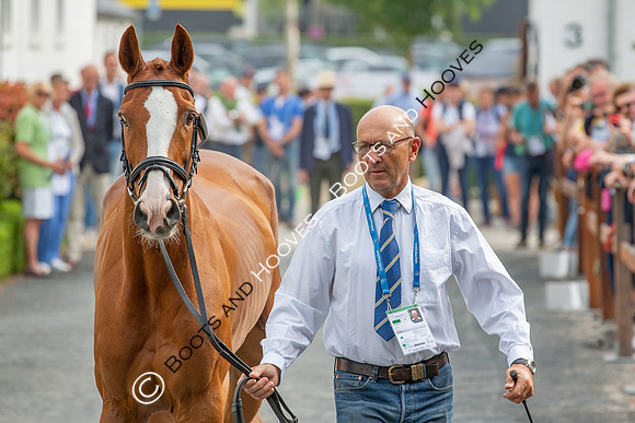 CHIO Aachen World Equestrian Festival