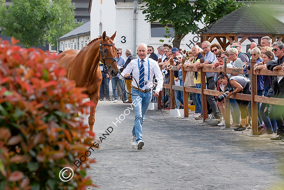 CHIO Aachen World Equestrian Festival
