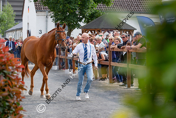CHIO Aachen World Equestrian Festival