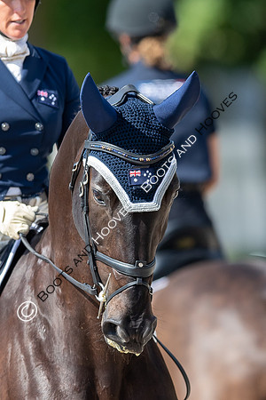 CHIO Aachen World Equestrian Festival