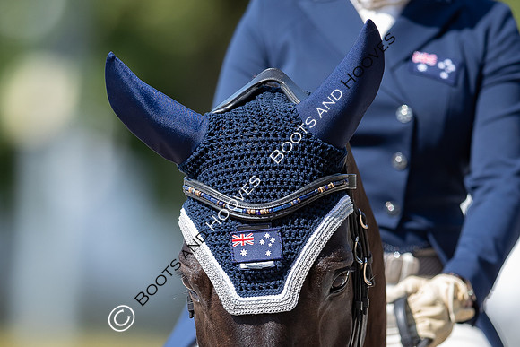 CHIO Aachen World Equestrian Festival