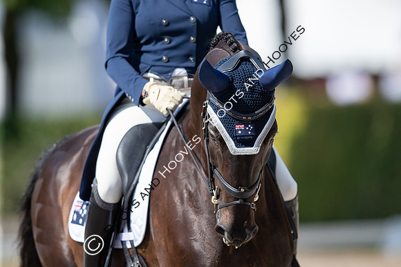 CHIO Aachen World Equestrian Festival