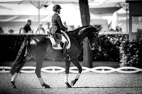 CHIO Aachen World Equestrian Festival