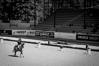 CHIO Aachen World Equestrian Festival
