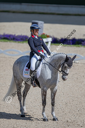 CHIO Aachen World Equestrian Festival