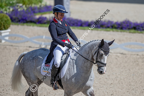 CHIO Aachen World Equestrian Festival