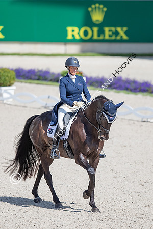 CHIO Aachen World Equestrian Festival