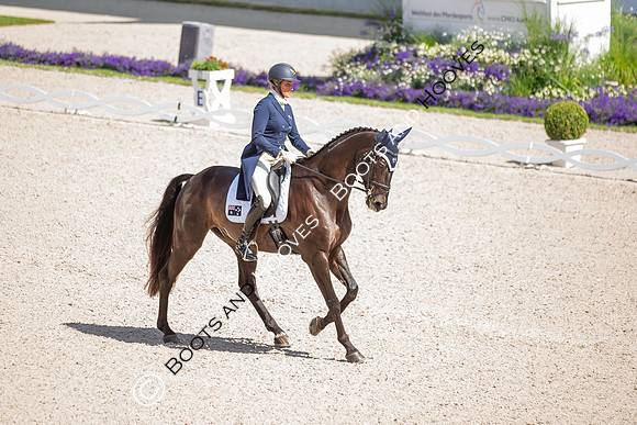 CHIO Aachen World Equestrian Festival