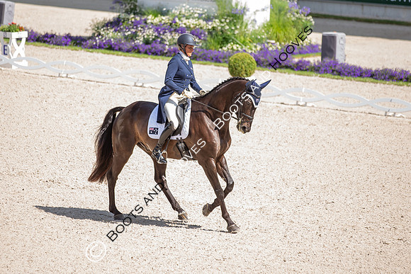 CHIO Aachen World Equestrian Festival
