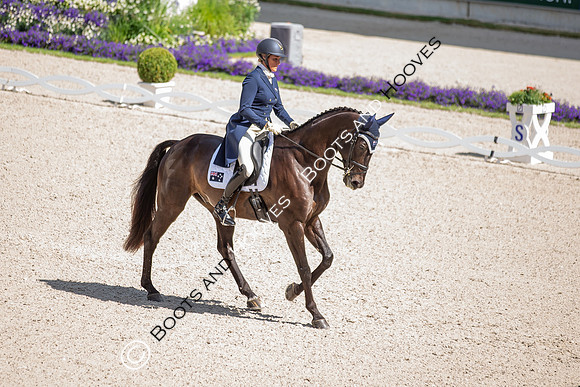 CHIO Aachen World Equestrian Festival