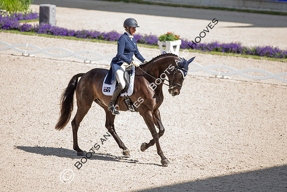 CHIO Aachen World Equestrian Festival