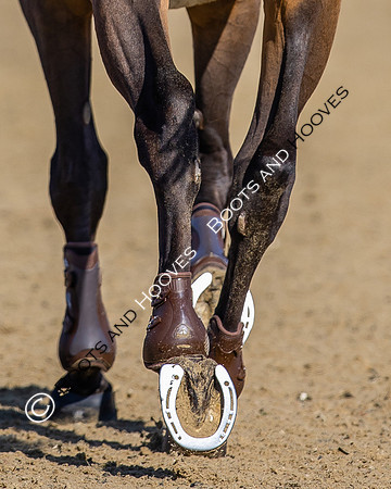 Royal Windsor Horse Show