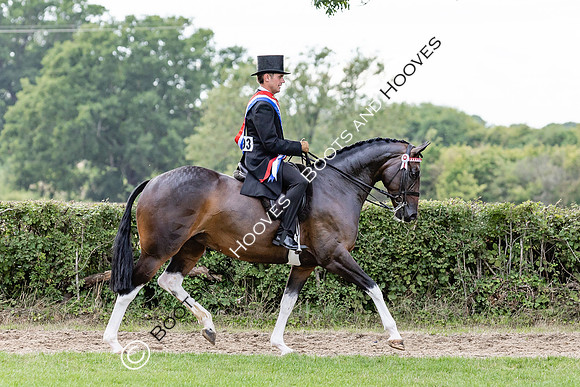 The Royal International Horse Show