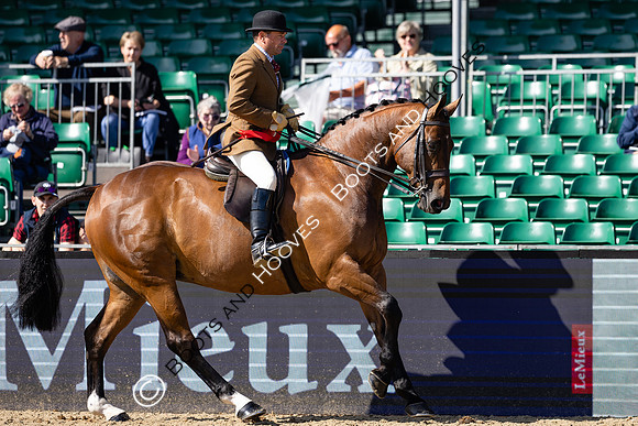 Royal Windsor Horse Show