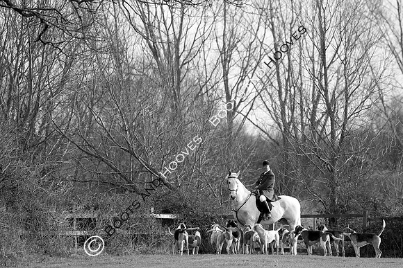 East Essex Hunt. Ladies Day. 29/01/2019 ~ MANDATORY Credit Elli Birch/Bootsandhooves - NO UNAUTHORISED USE - 07745 909676