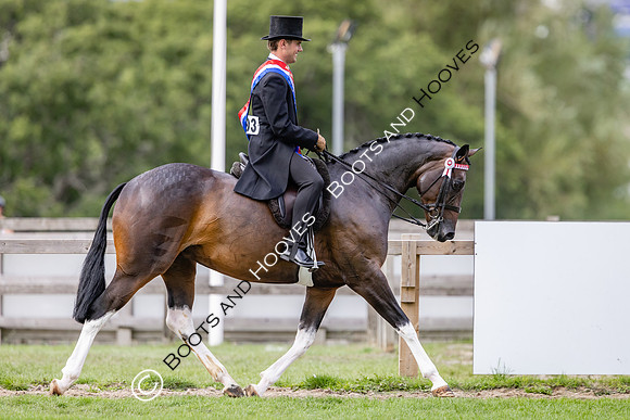 The Royal International Horse Show