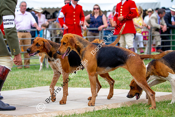 Festival of Hunting