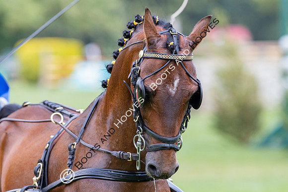 The Prenetics Royal International Horse Show