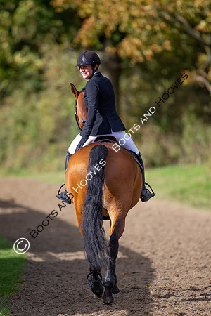 Science Supplements All England Jumping Championships