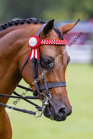 The Agria Royal International Horse Show