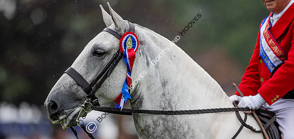 The Prenetics Royal International Horse Show