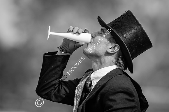 The Royal International Horse Show