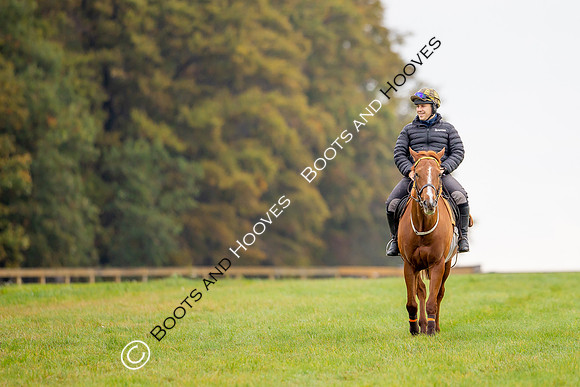 Newmarket