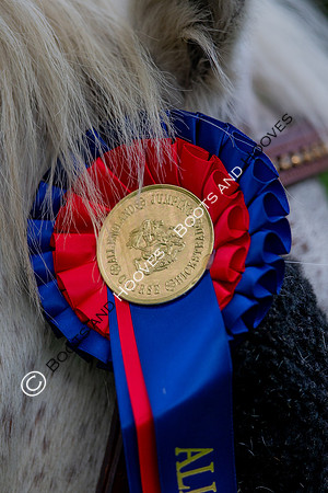 Science Supplements All England Jumping Championships