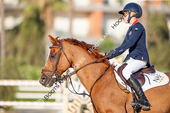 FEI Junior European Championship Young Riders, Juniors & Childre