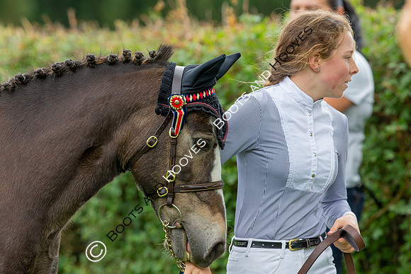 Science Supplements All England Jumping Championships